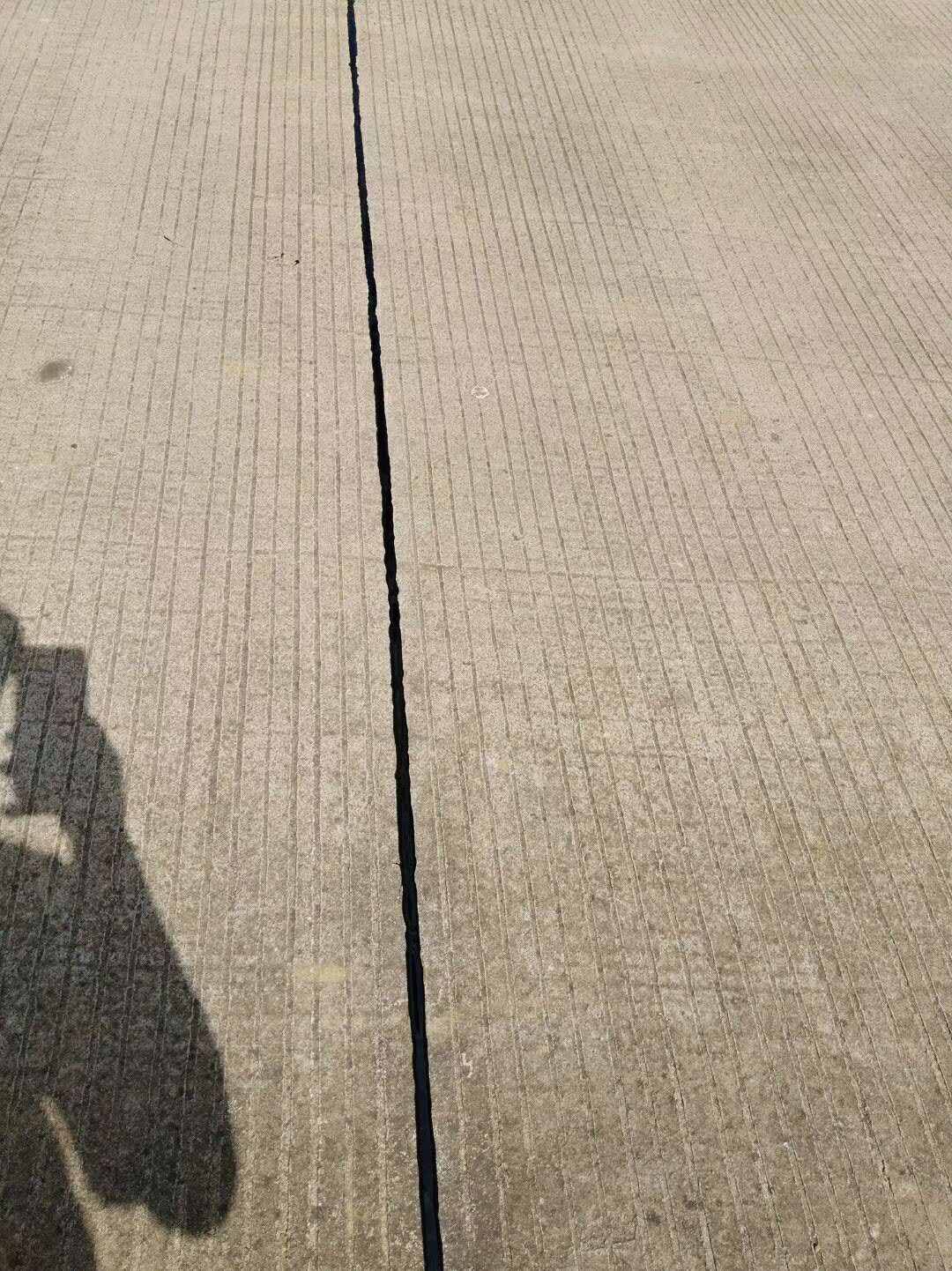 8366889.jpg