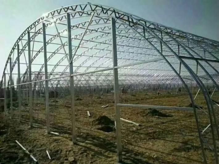 mmexport77.jpg