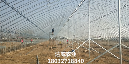 圖片_206_看圖王.jpg