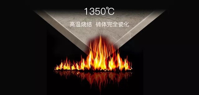 圖片_20.jpg