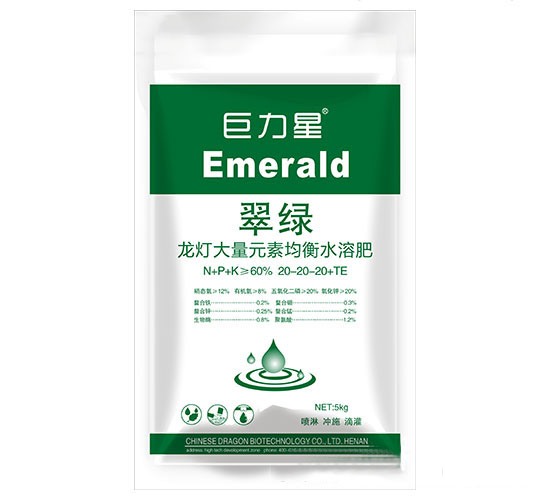大量元素翠綠修改.jpg