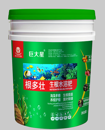 根多壯.png
