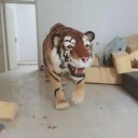 深圳仿真老虎模型定制定做