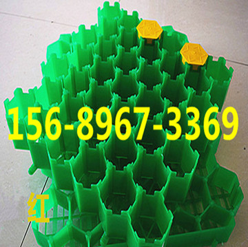 114_副本.jpg