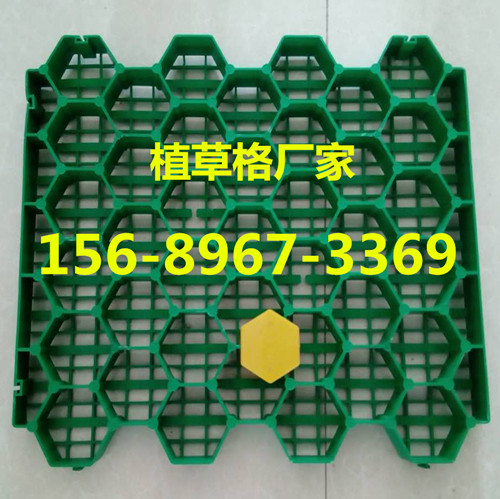 77_副本_副本.jpg