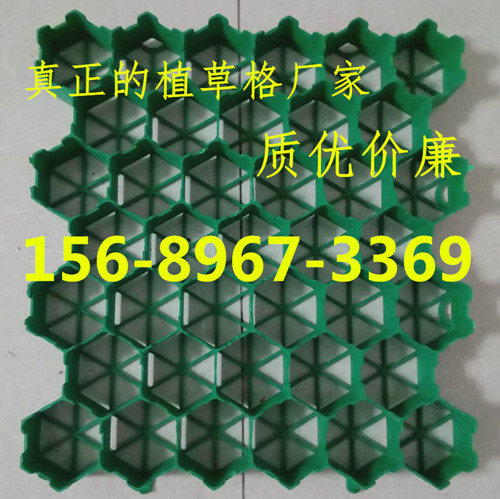 555.jpg