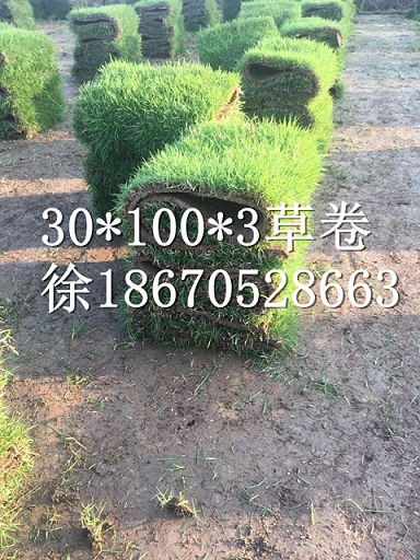 圖片_200_副本.jpg