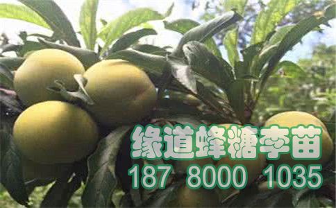 u=3648884159&fm=26&gp=0.jpg