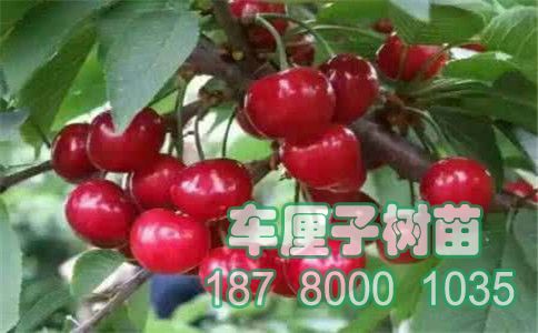 u=398978899&fm=26&gp=0.jpg