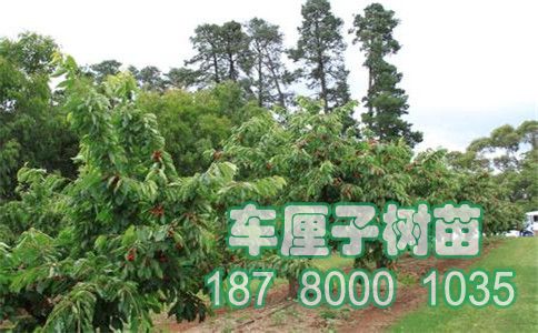 u=864142&fm=26&gp=0.jpg