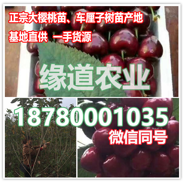 5042176656.jpg