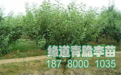 u=2152367200&fm=26&gp=0.jpg