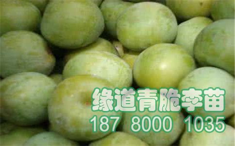 u=228205975&fm=26&gp=0.jpg