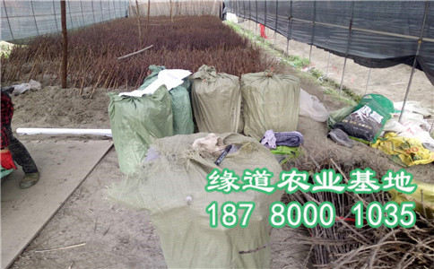 圖片_204.jpg