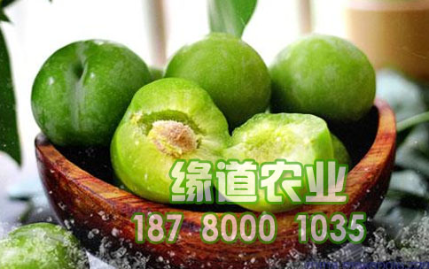 青脆李