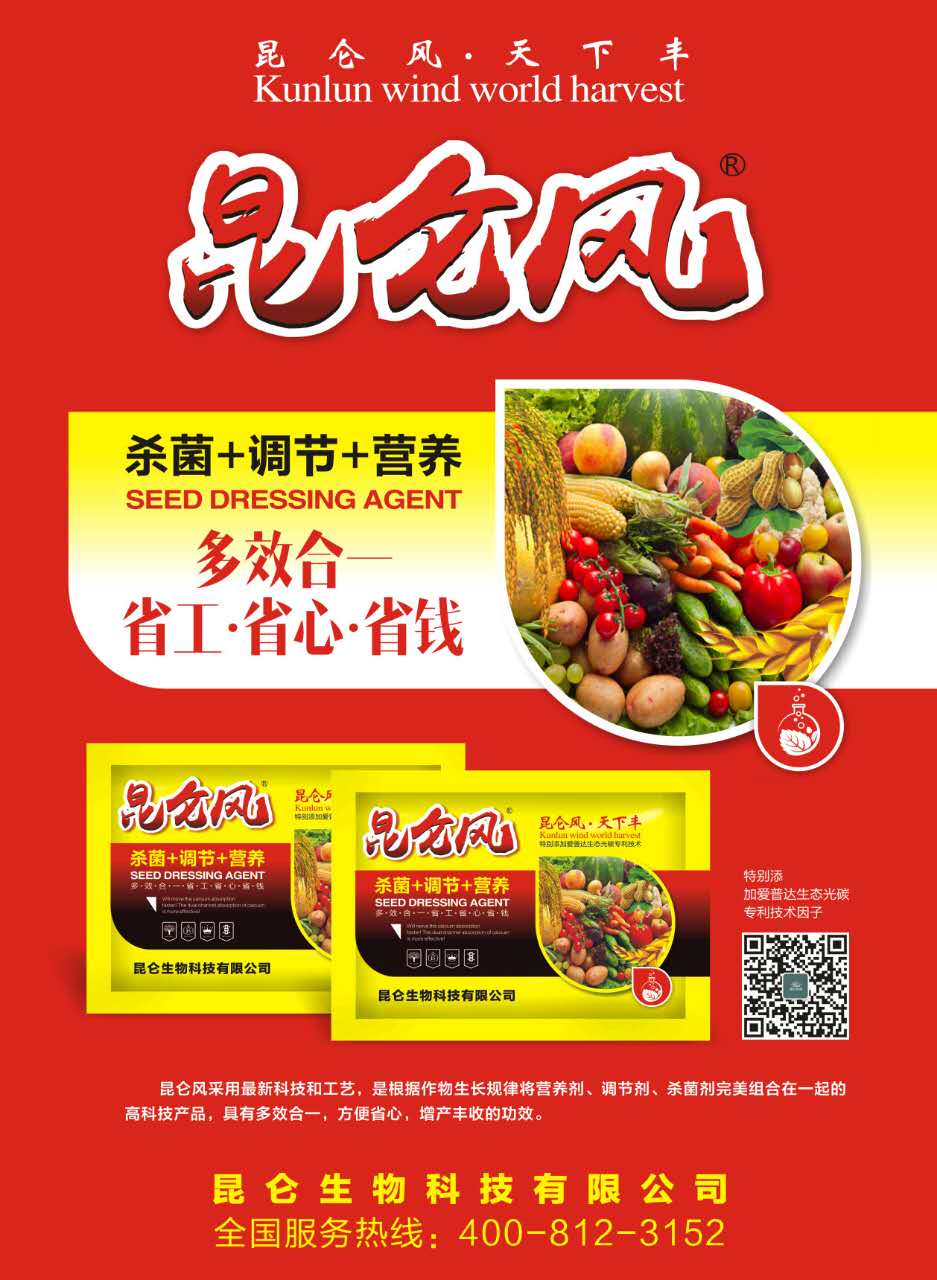 昆侖風(fēng) (2).jpg