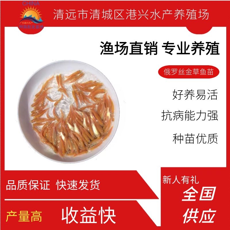 育草鱼苗技术,育草鱼苗技术视频