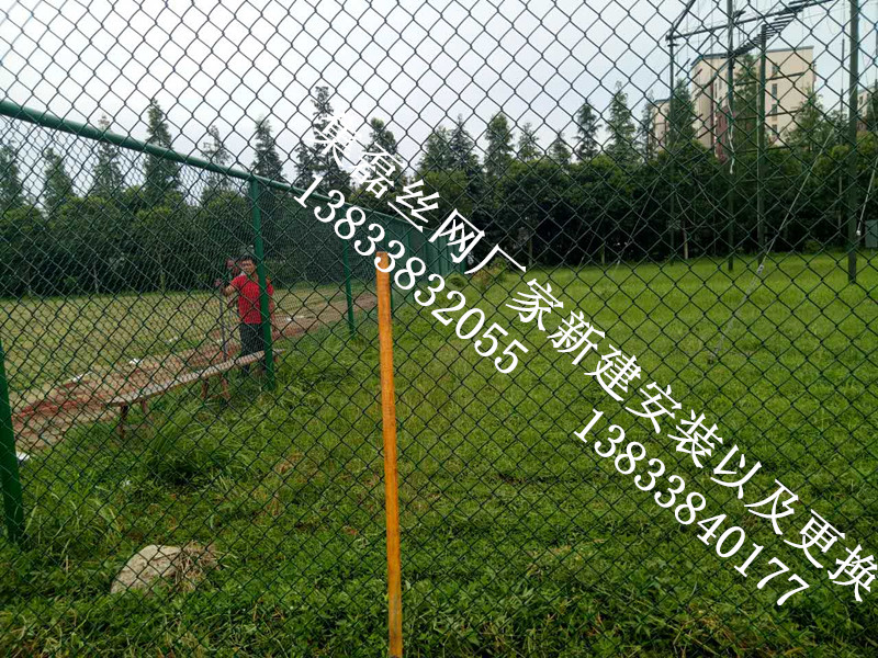 6622378_副本.jpg