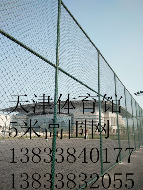 圖片_202_副本_副本.jpg