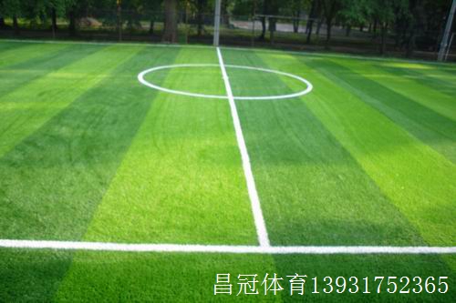 足球场都是人工草坪吗,足球场人工草坪多少钱一平方米