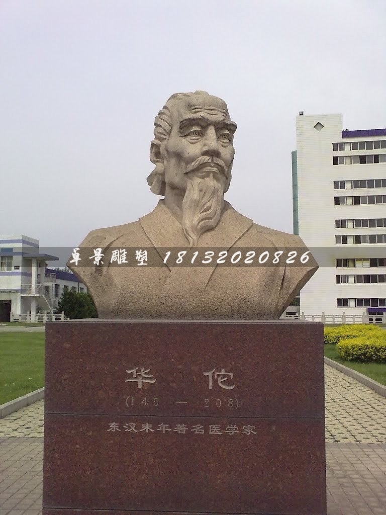 华佗胸像石雕 校园古代人物石雕.jpg