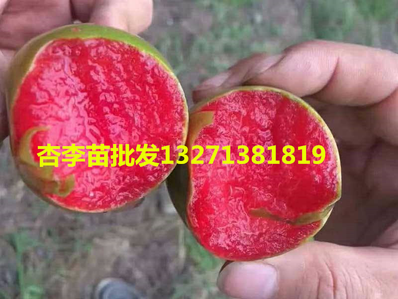 63_副本.jpg