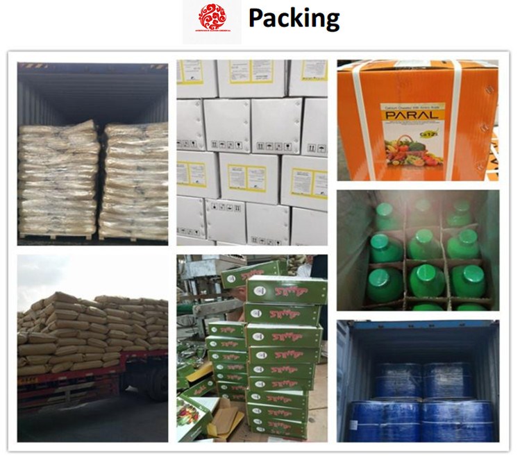 packing 1_副本.jpg