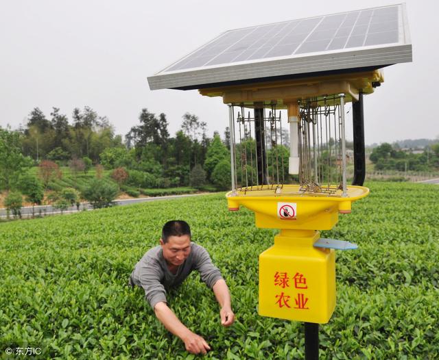 有机茶园太阳能杀虫灯.jpg