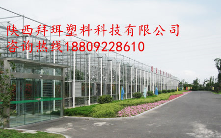 81c882b248257d2ec790_副本.jpg