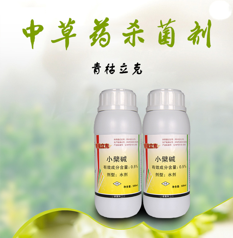 青枯立克 (1).jpg