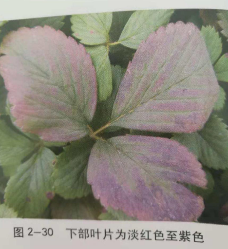 圖片_23.png