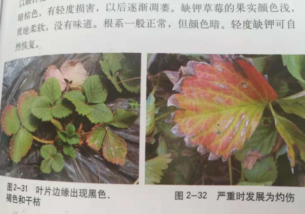圖片_27.png