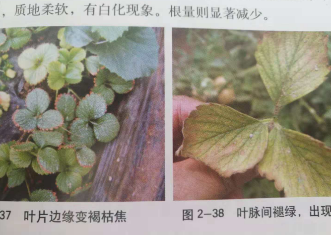 圖片_21.png