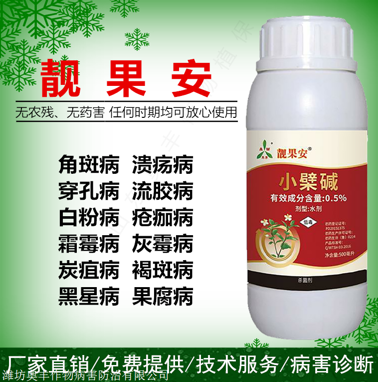 靚果安圖片.png