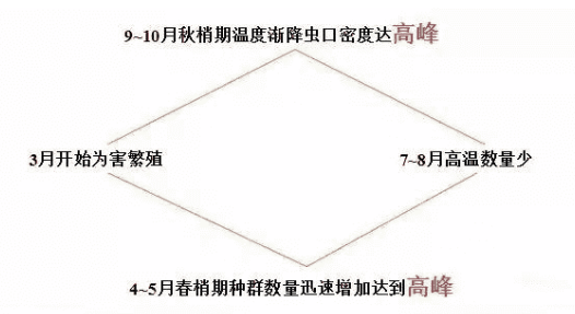 圖片_25.png
