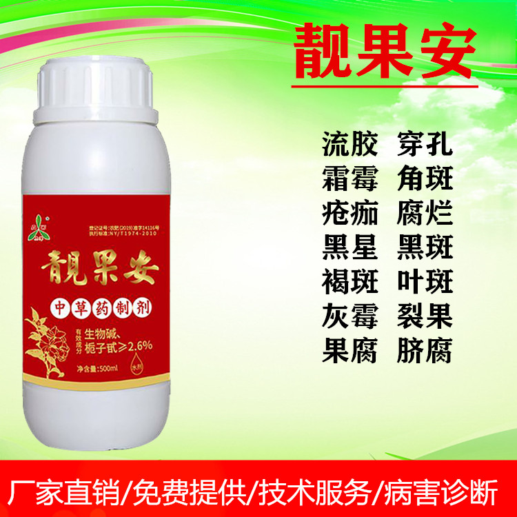 瑤瑤底圖_靚果安.jpg