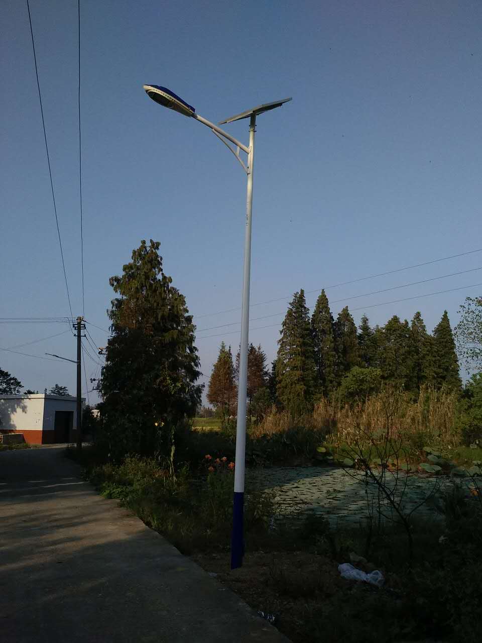 288911297273357182.jpg