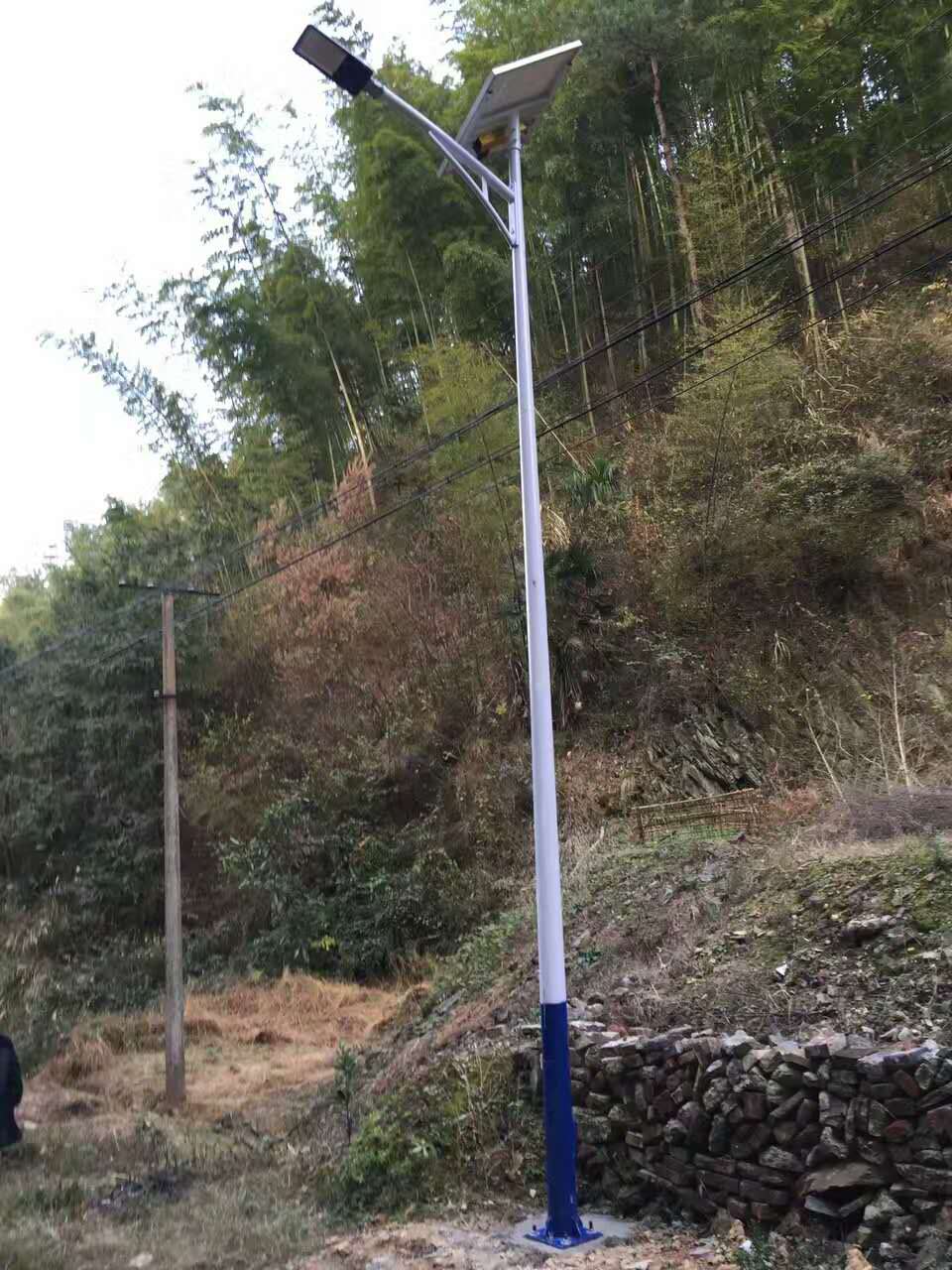 3776115.jpg