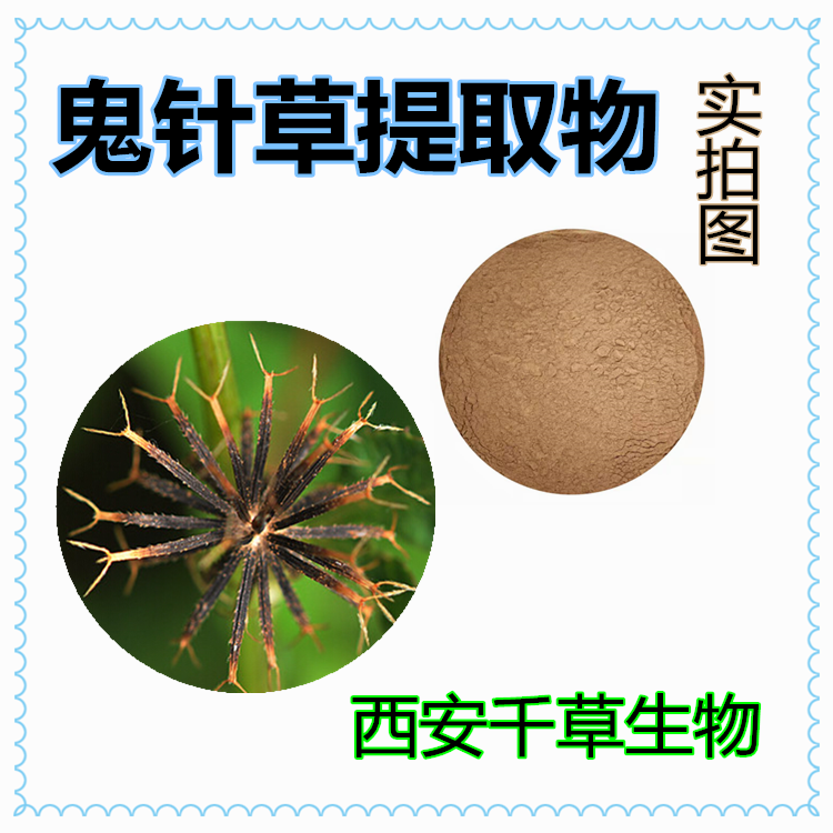 鬼针草提取物.png