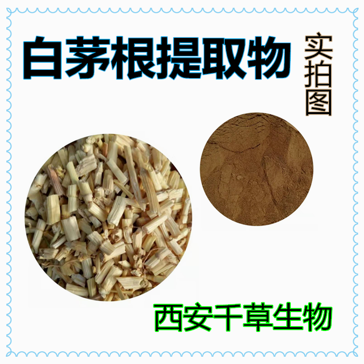 白茅根提取物 - 副本.png