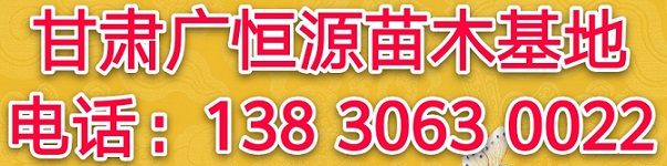圖片.jpg