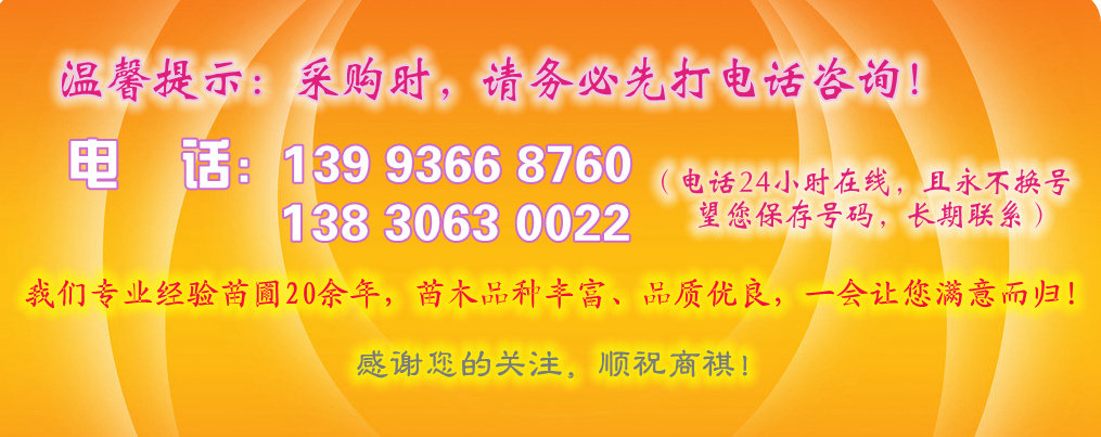 9252150_211528488305_2_副本