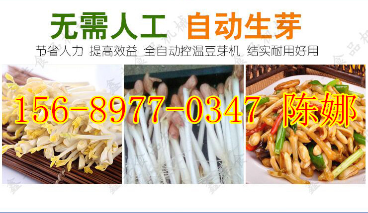 QQDƬ20170726093511_05_.jpg