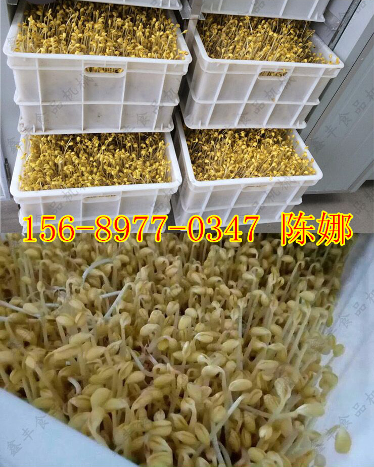 QQDƬ20170729105711_06_.jpg