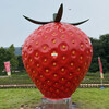 番禺大型草莓雕塑、玻璃鋼草莓雕塑定制