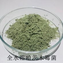 全水溶哈茨木霉霉10亿改良土壤生根壮秧根茎膨大以菌预防土传病害