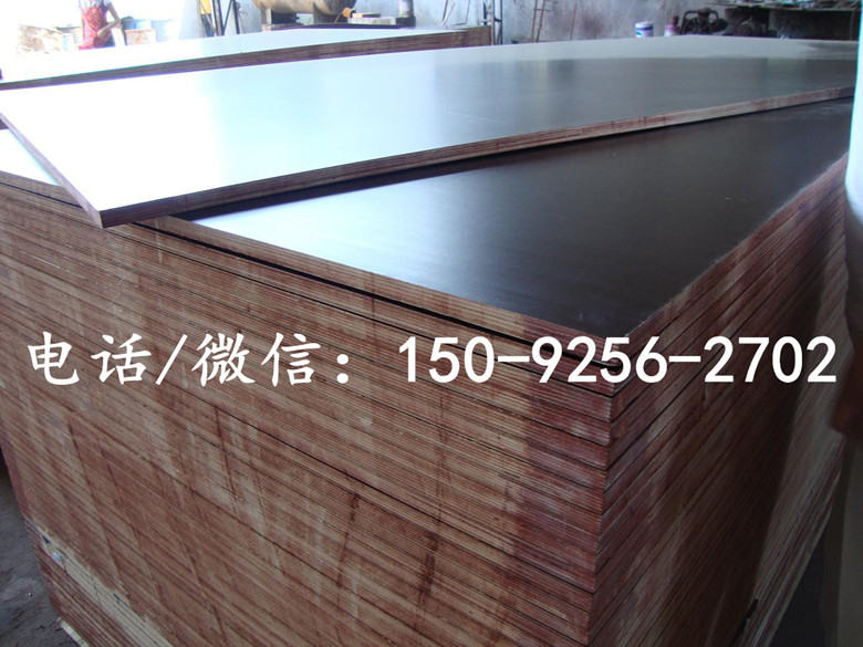 film faced plywood123_副本.jpg