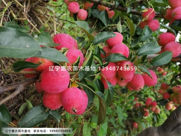 a1542618403716.jpg