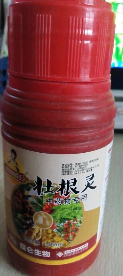 壯根靈中藥材.jpg