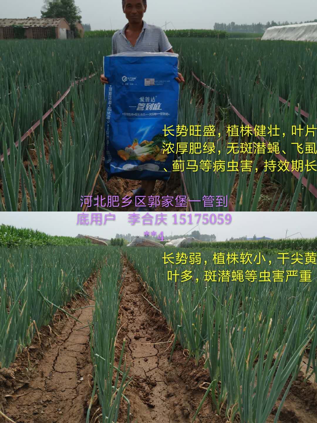 圖片_28.jpg